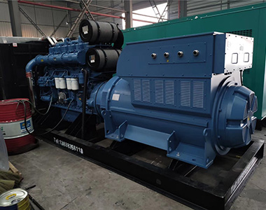 云顶国际集团1200KW 10.5KV 矿山项目